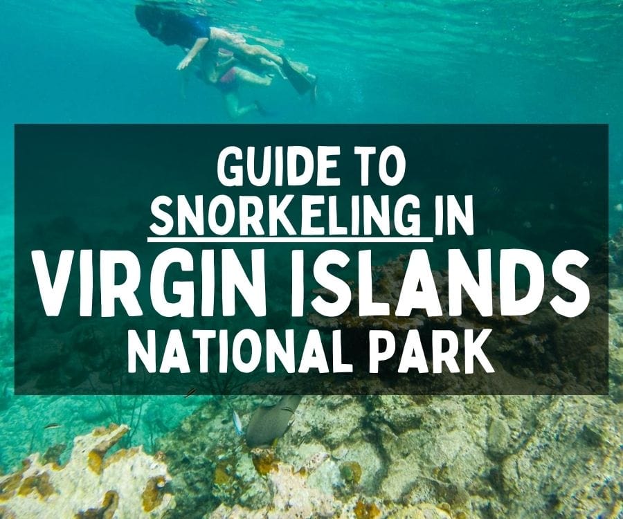 Guide to Snorkeling in Virgin Islands National Park, St. John