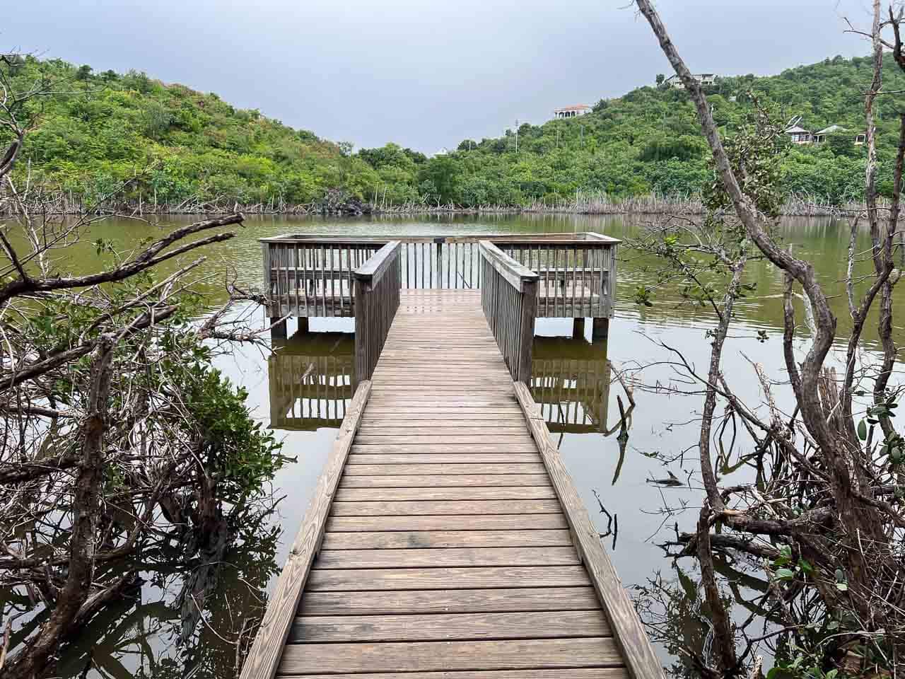 Francis Bay Trail boardwalk viewing platform in Virgin Islands National Park