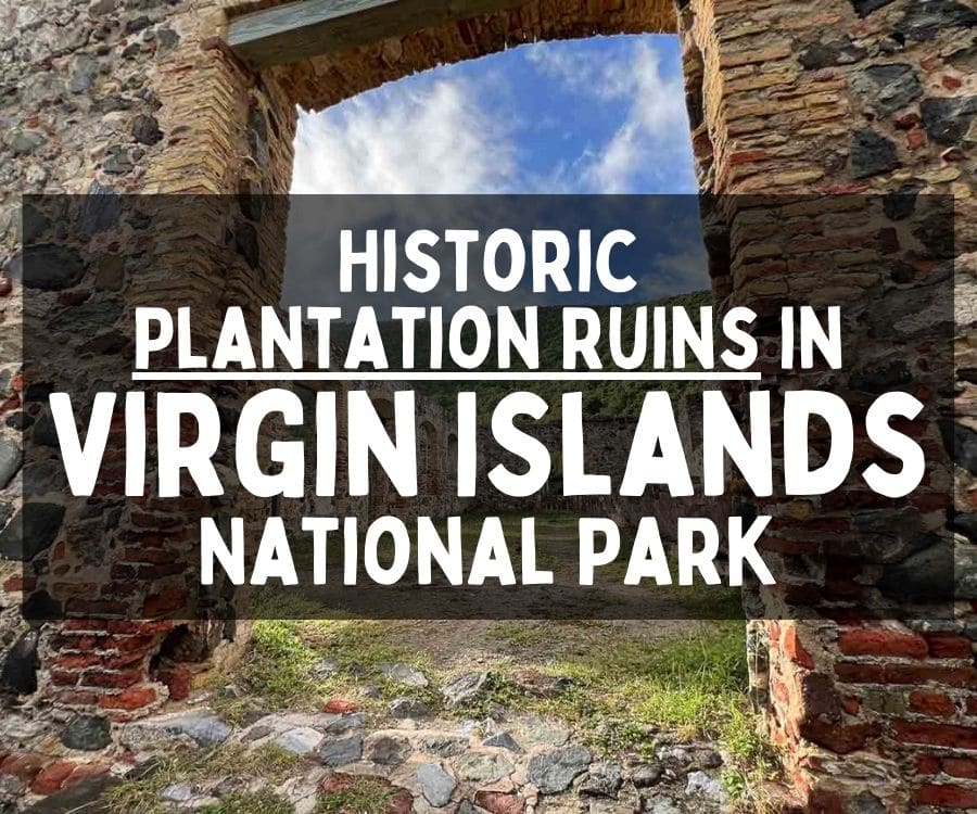Historic Estate and Plantation Ruins in Virgin Islands National Park