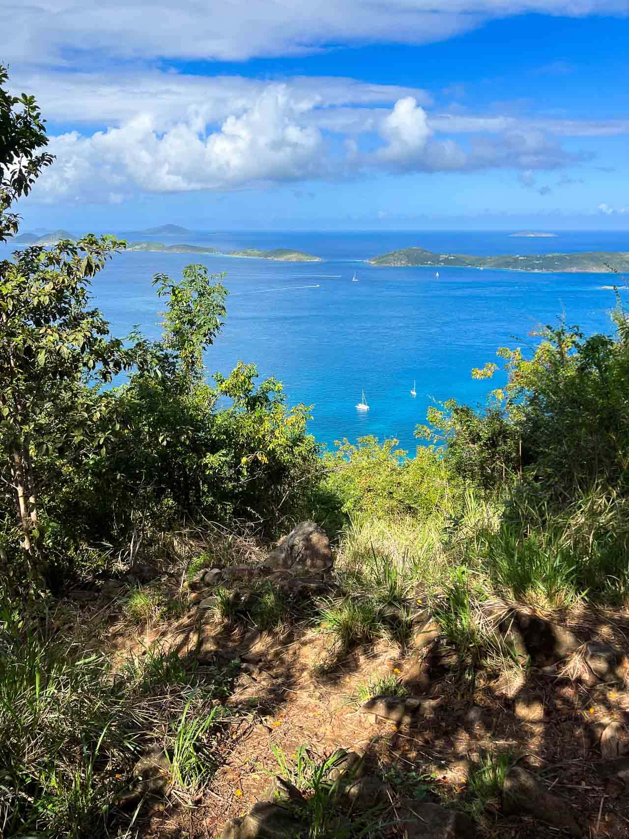 View from the Caneel Hill Trail in Virgin Islands National Park