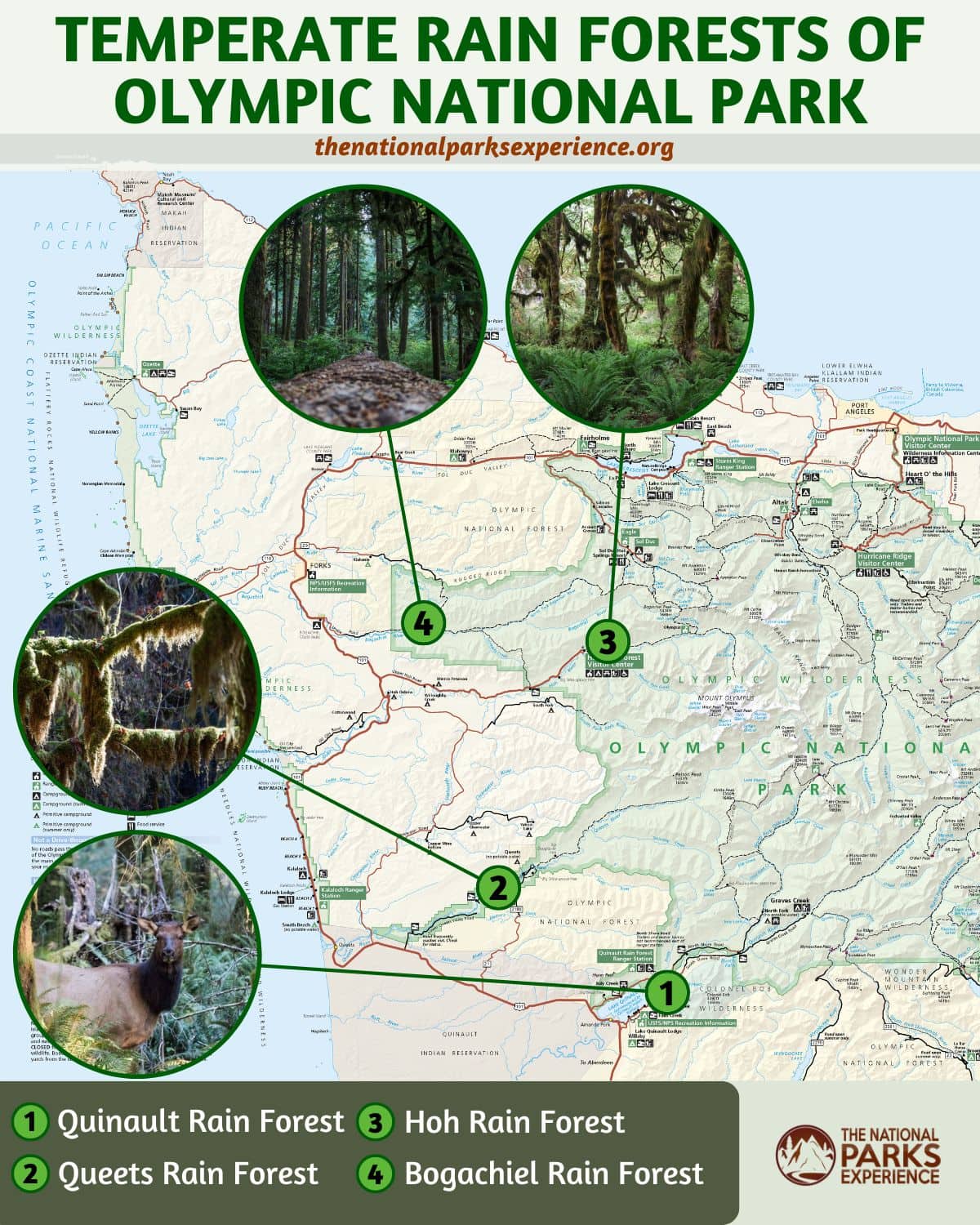 Map of the Temperate Rain Forests in Olympic National Park, Washington
