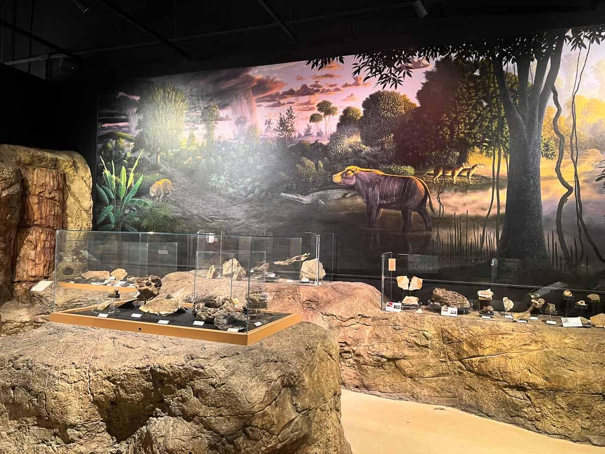 Thomas Condon Paleontology Center exhibit and museum in John Day Fossil Beds National Monument