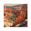 Bryce Canyon National Park Bandana - Image 3