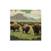 Theodore Roosevelt National Park Bandana - Image 2