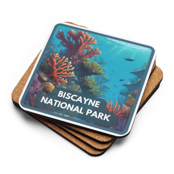 Biscayne National Park Coaster