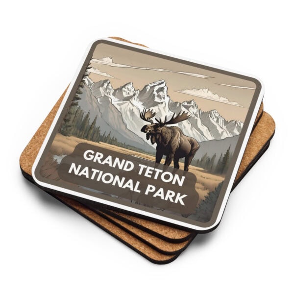 Grand Teton National Park Coaster