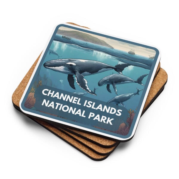 Channel Islands National Park Coaster