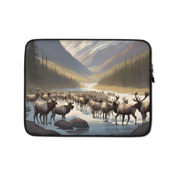 Gates of the Arctic National Park Laptop Sleeve