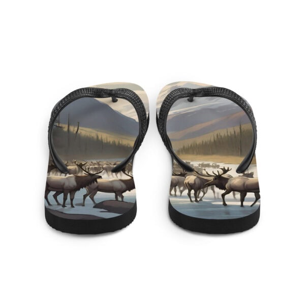 Gates of the Arctic National Park Flip-Flops - Image 3