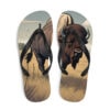 Wind Cave National Park Flip-Flops