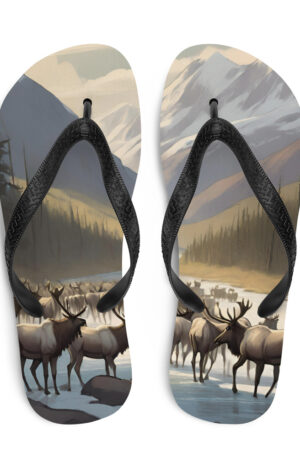 Gates of the Arctic National Park Flip-Flops