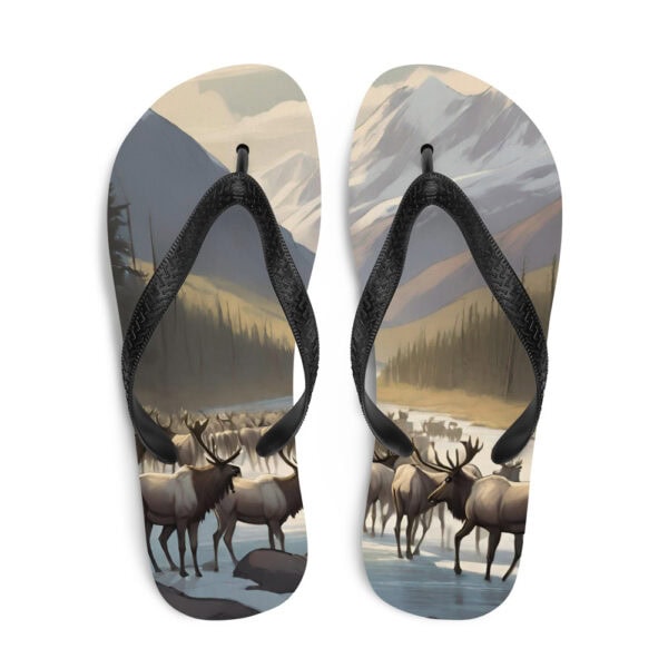 Gates of the Arctic National Park Flip-Flops