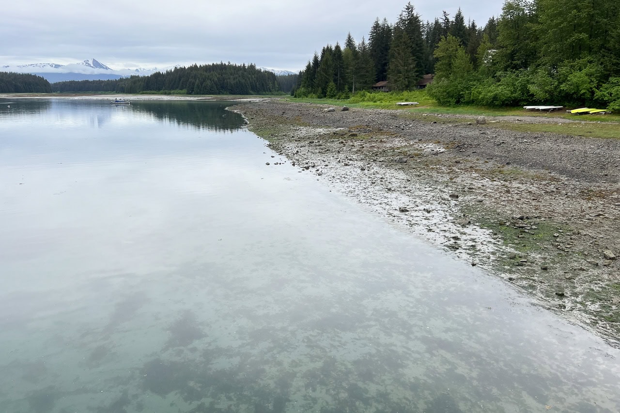 Cloudy morning on the shore of Bartlett Cove in Glacier Bay National Park, Alaska