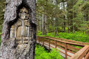 Tree carving on the Forest Trail in Glacier Bay National Park