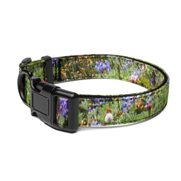 Mount Rainier National Park Pet Collar