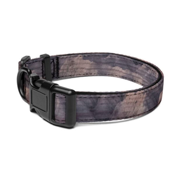 Badlands National Park Pet Collar