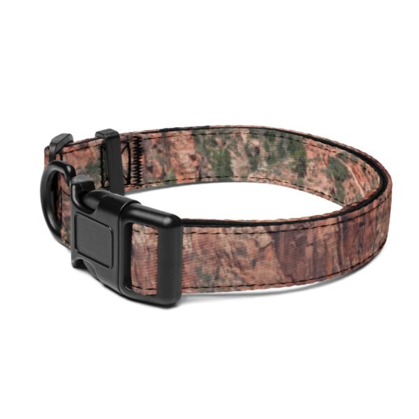 Zion National Park Pet Collar
