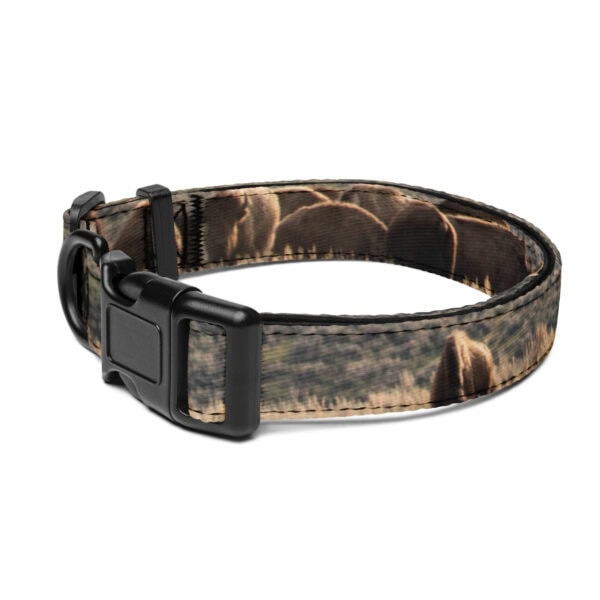 Yellowstone National Park Pet Collar