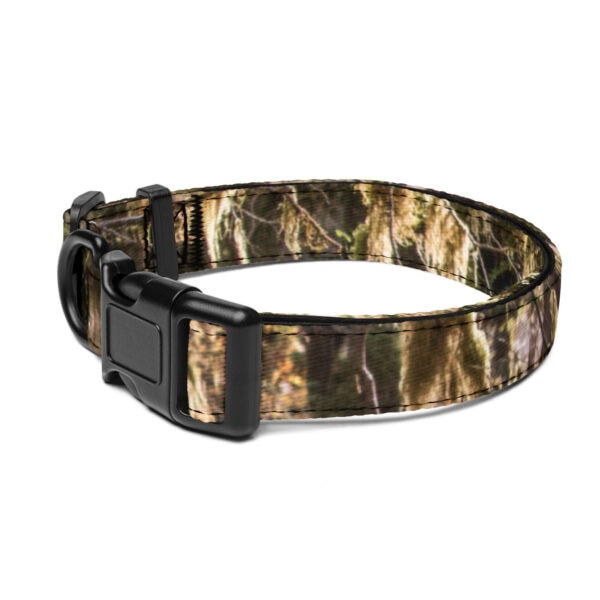 Olympic National Park Pet Collar