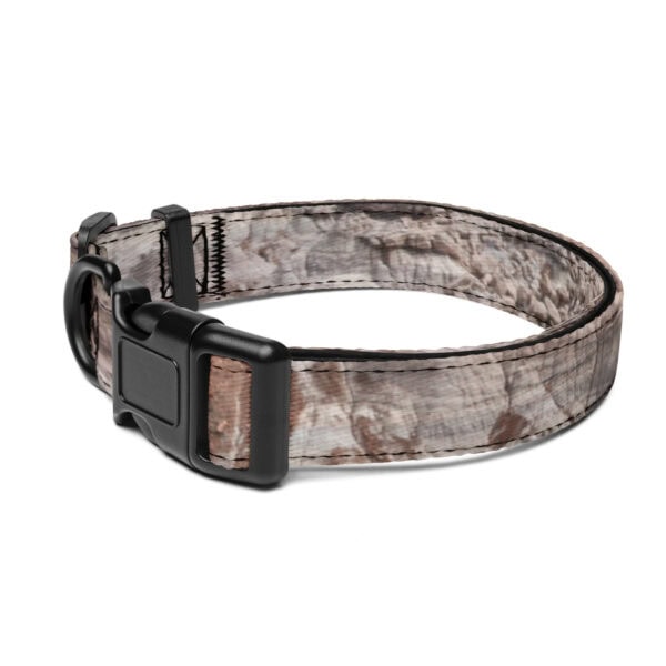 Petrified Forest National Park Pet Collar