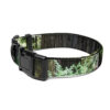 Redwood National Park Pet Collar