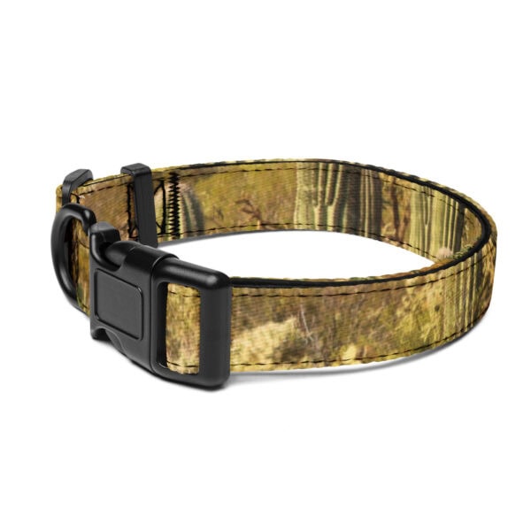 Saguaro National Park Pet Collar