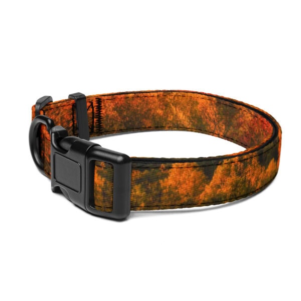 Shenandoah National Park Pet Collar
