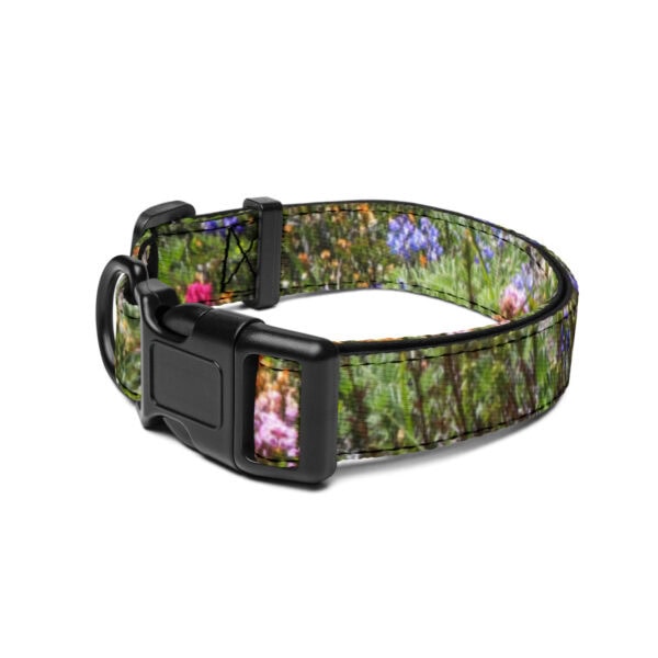 Mount Rainier National Park Pet Collar - Image 3