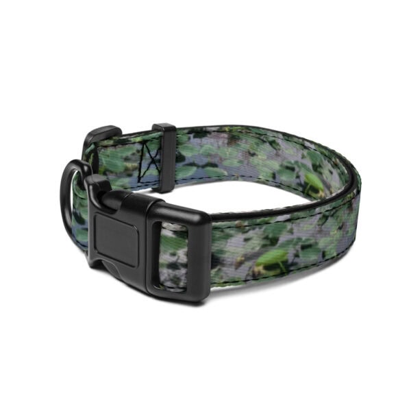 Everglades National Park Pet Collar - Image 3