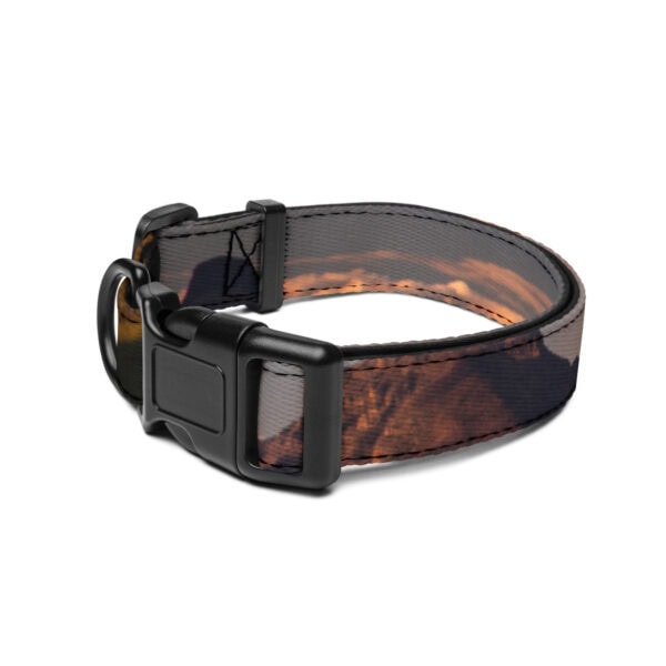 Glacier National Park Pet Collar - Image 3