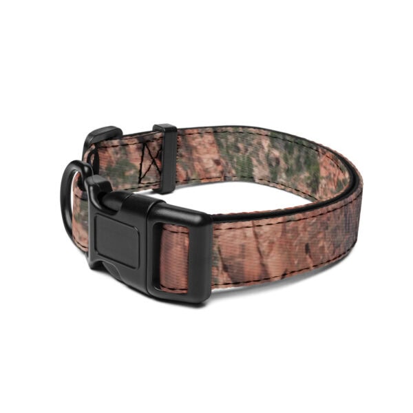 Zion National Park Pet Collar - Image 3