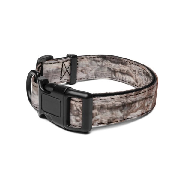 Petrified Forest National Park Pet Collar - Image 3