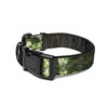 Redwood National Park Pet Collar - Image 3