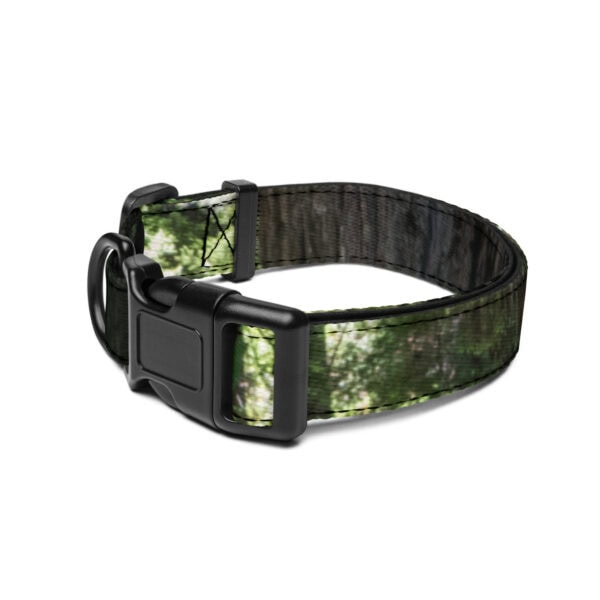 Redwood National Park Pet Collar - Image 3