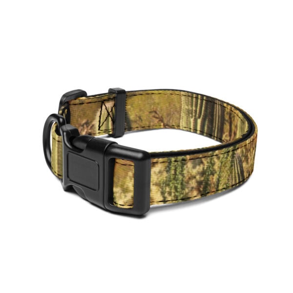 Saguaro National Park Pet Collar - Image 3