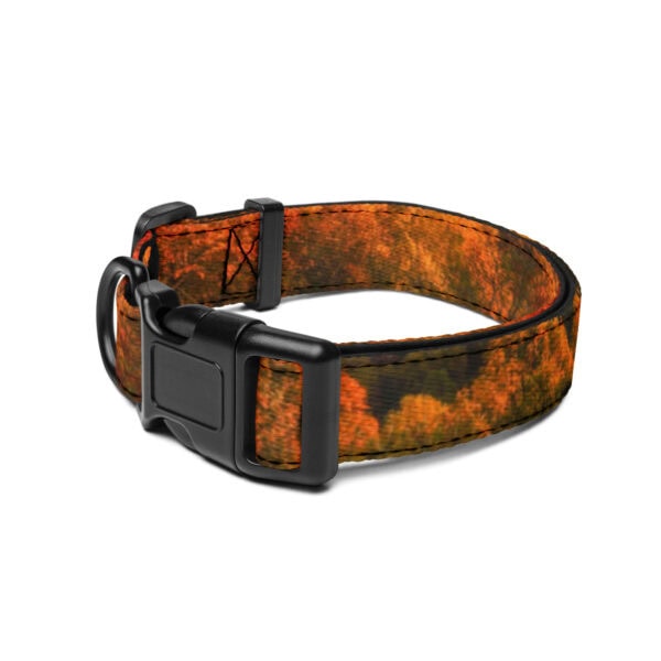 Shenandoah National Park Pet Collar - Image 3