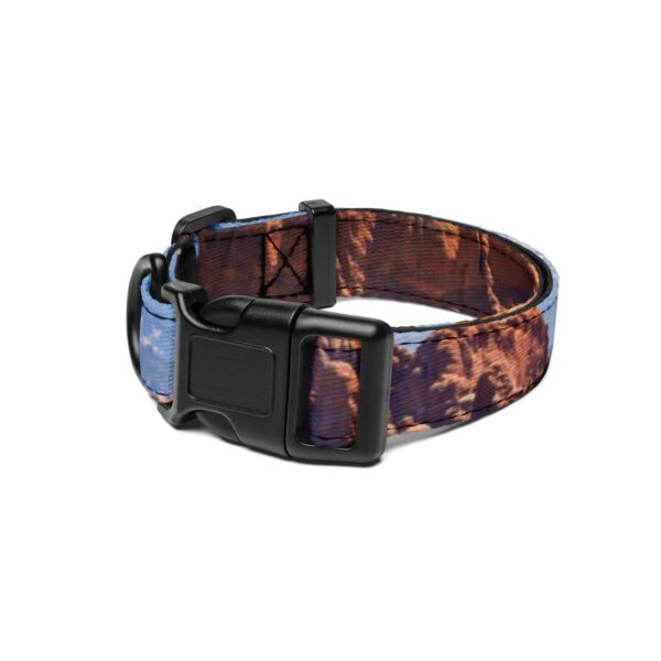 Arches National Park Pet Collar - Image 2