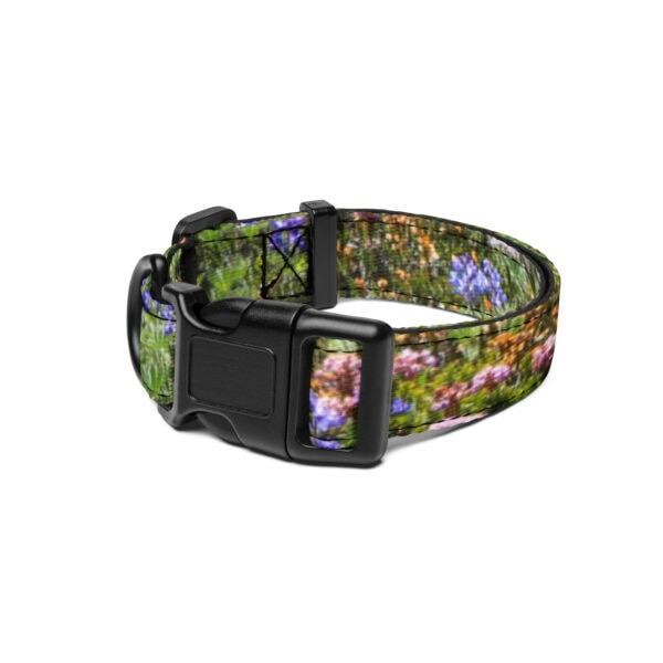 Mount Rainier National Park Pet Collar - Image 2