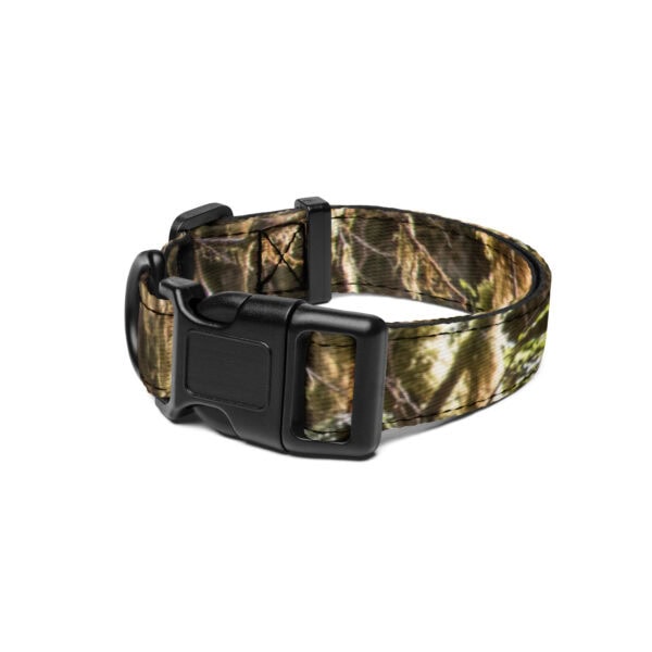 Olympic National Park Pet Collar - Image 2