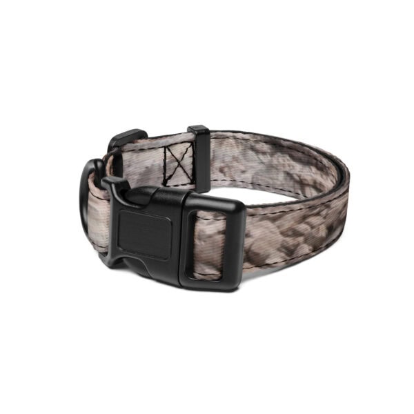 Petrified Forest National Park Pet Collar - Image 2