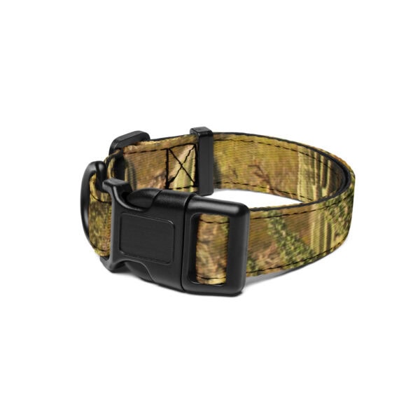 Saguaro National Park Pet Collar - Image 2