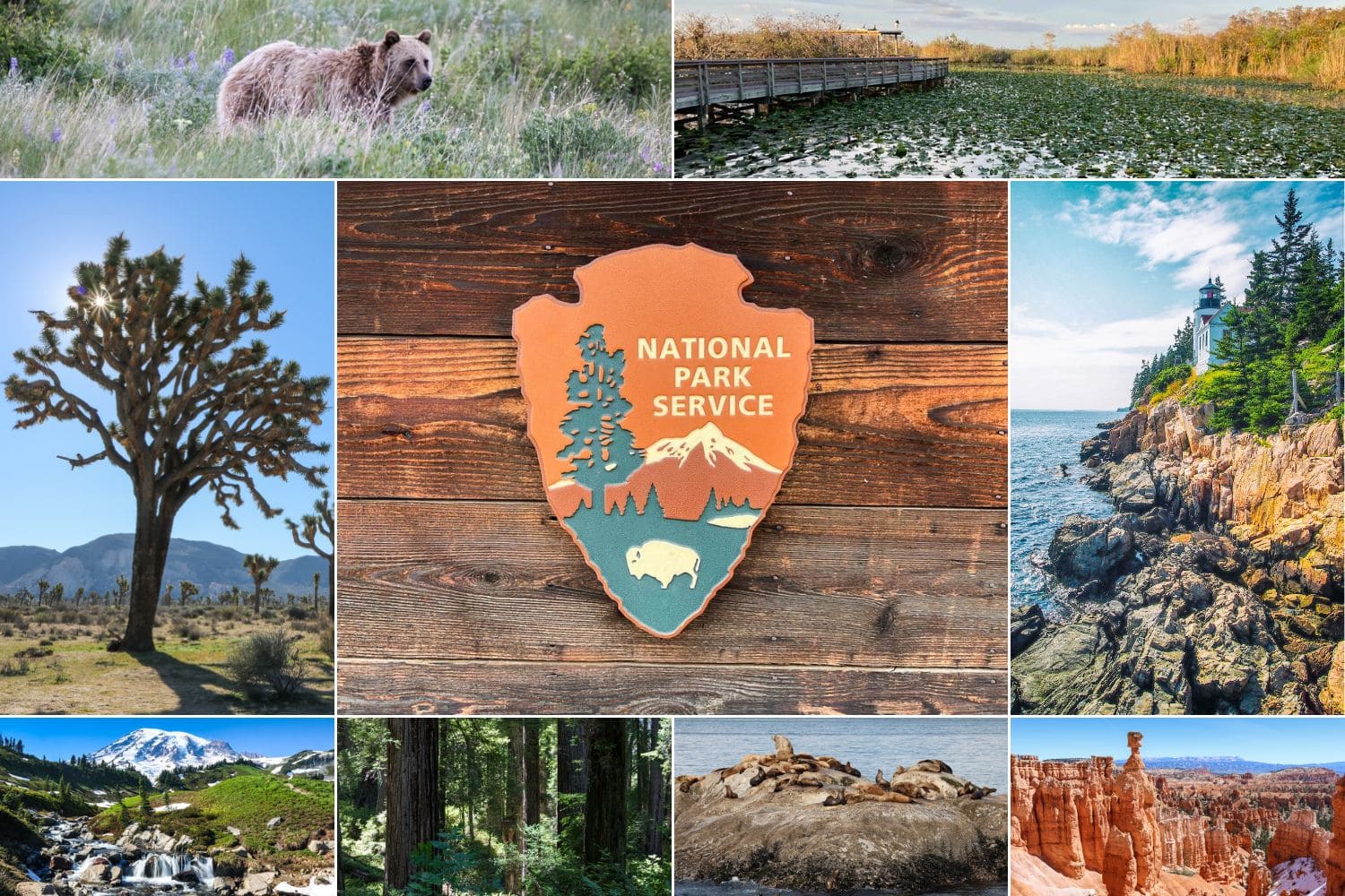 National Park Service logo and parks collage