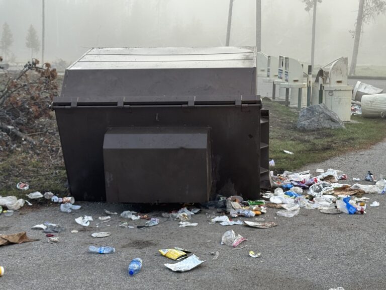 Overturned bear-resistant dumpster at Nez Perce Picnic Area in Yellowstone National Park - Image credit: NPS / Allan Barker