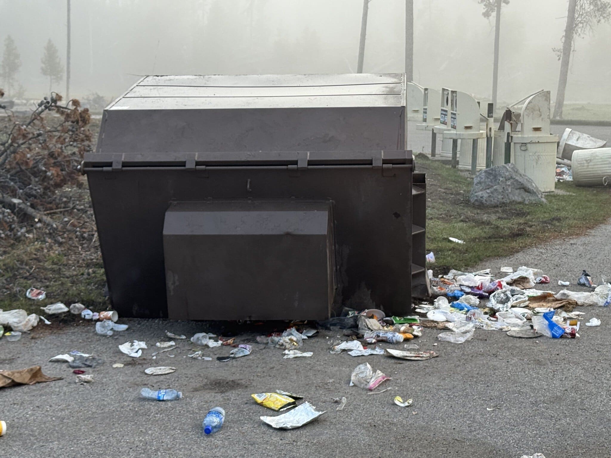 Overturned bear-resistant dumpster at Nez Perce Picnic Area in Yellowstone National Park - Image credit: NPS / Allan Barker