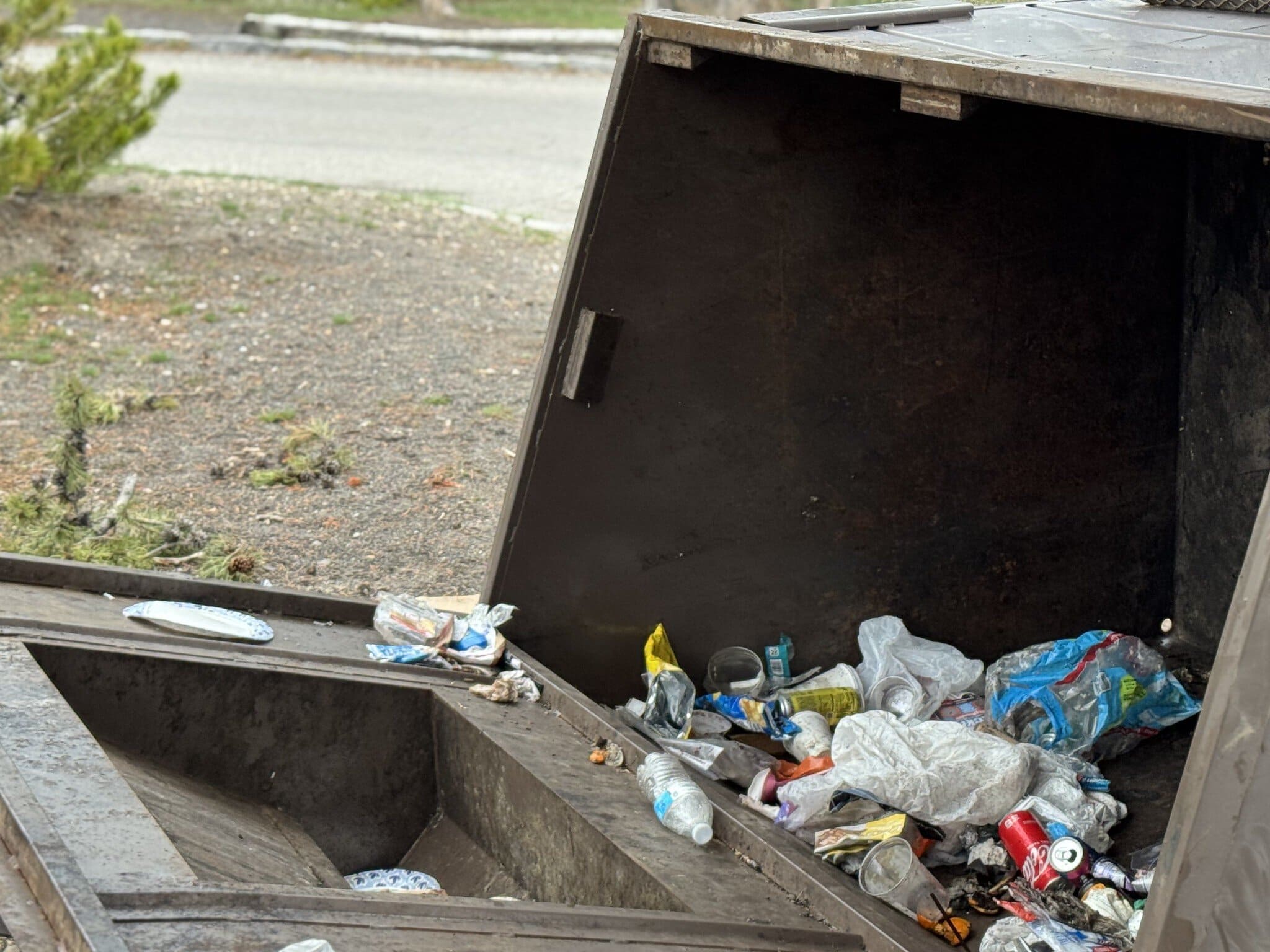 Overturned bear-resistant recycling container at Midway Geyser Basin parking area - Image credit: NPS / Allan Barker